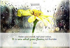 Rumi poster with quote
